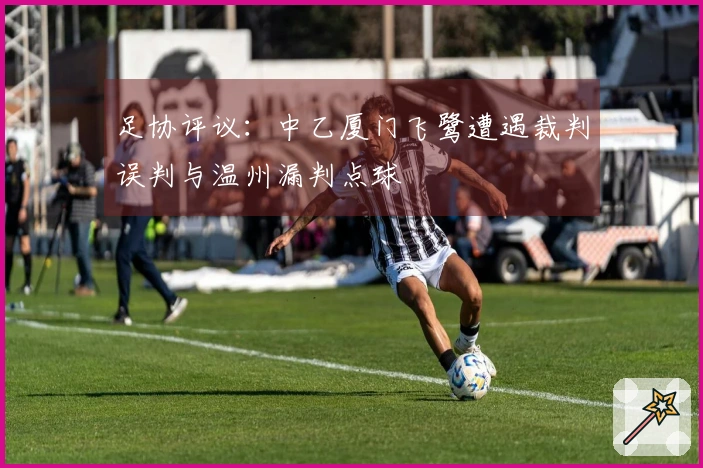 足协评议：中乙厦门飞鹭遭遇裁判误判与温州漏判点球