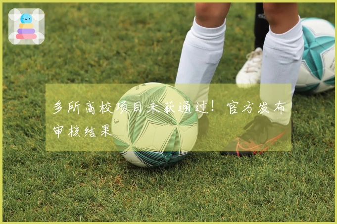 多所高校项目未获通过！官方发布审核结果