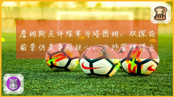 詹姆斯点评绿军与塔图姆，双探花前景仍是争冠核心，少帅管理得当
