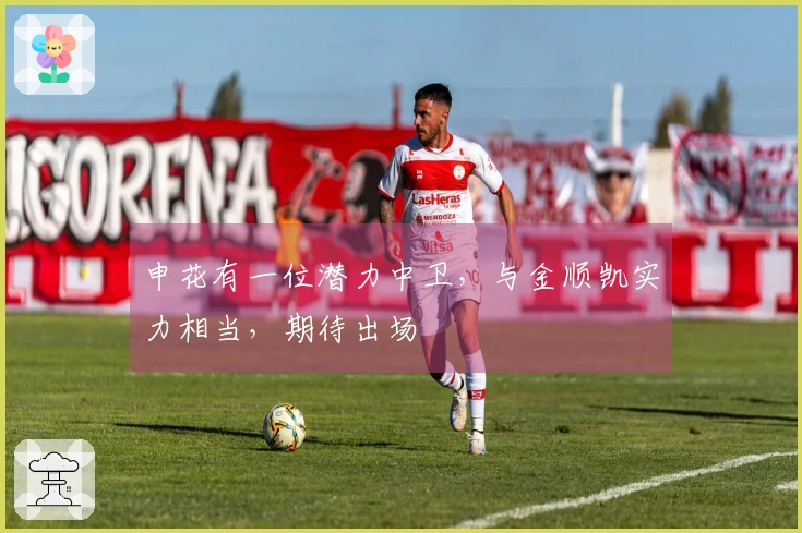 申花有一位潜力中卫，与金顺凯实力相当，期待出场